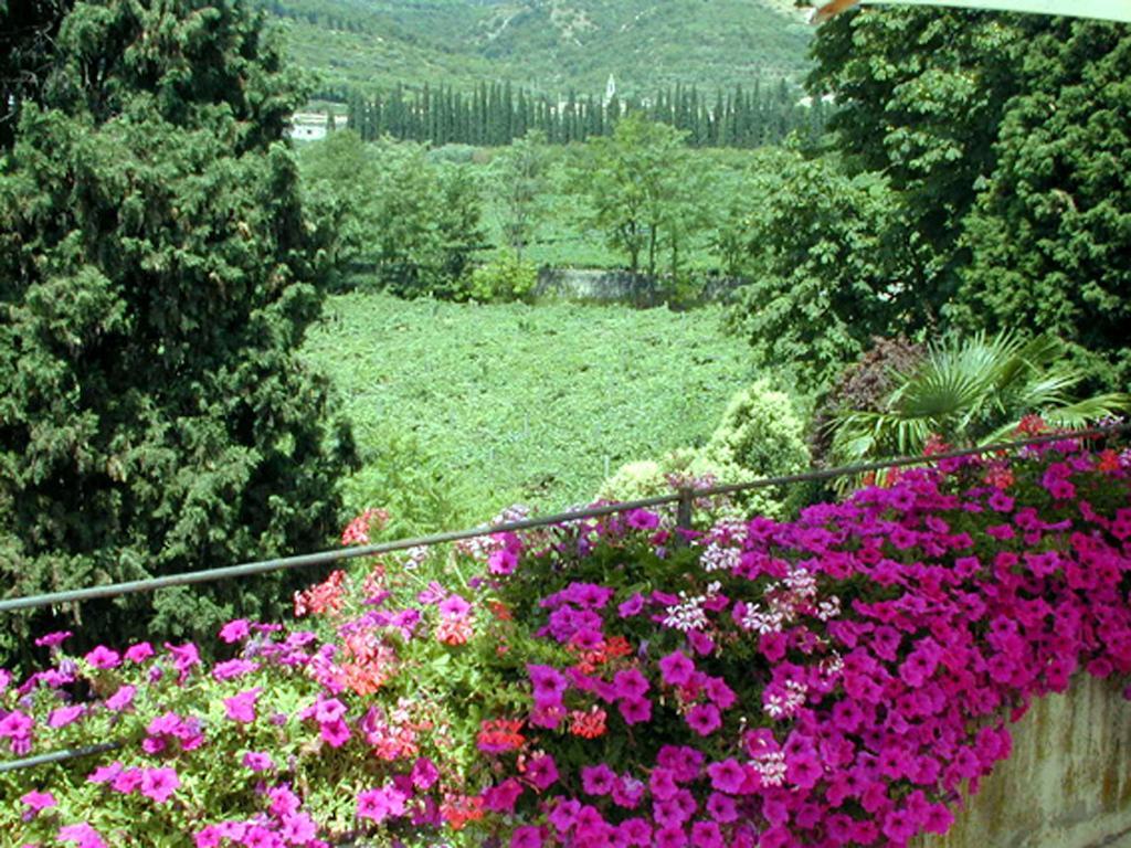 B&B Villa Monteleone SantʼAmbrogio di Valpolicella Extérieur photo