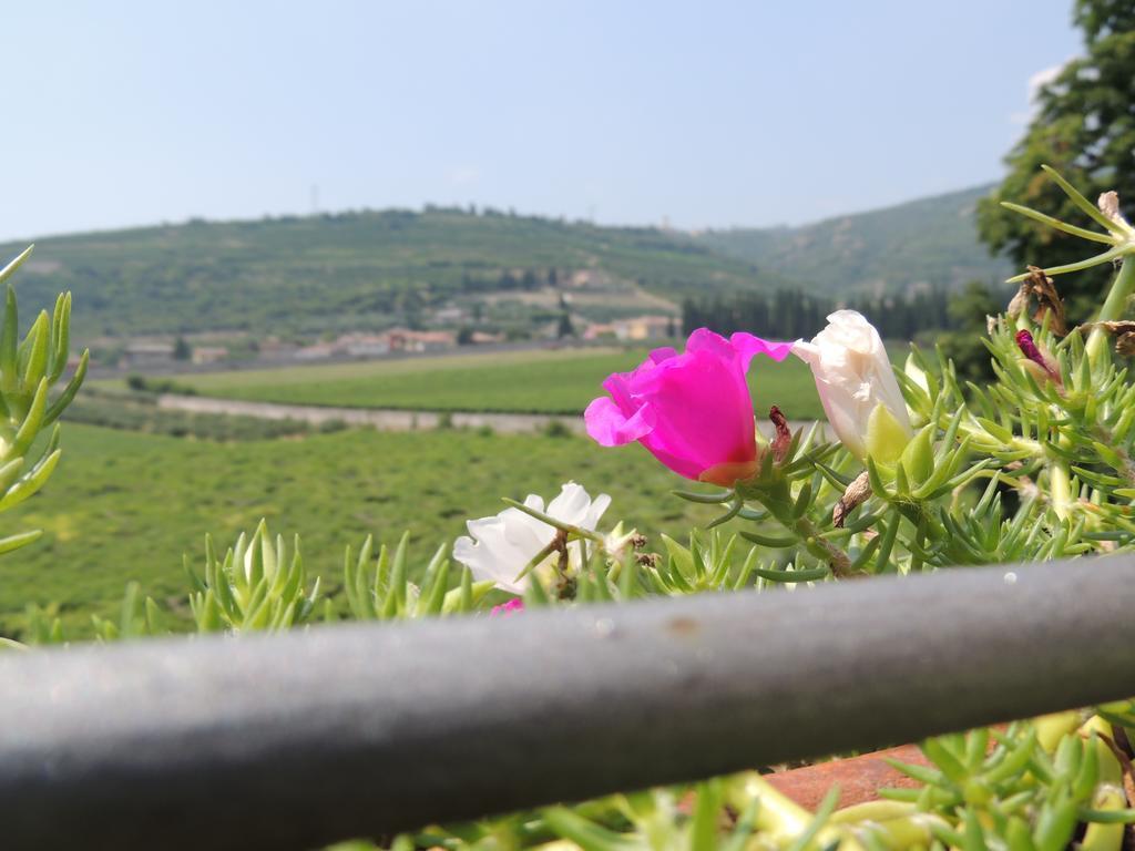 B&B Villa Monteleone SantʼAmbrogio di Valpolicella Extérieur photo